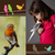 Beautiful Birds Photo Collage
