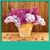 Lilac Flowers Live Wallpapers