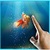 Goldfish in your Phone free