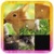 Slide Puzzle Animal
