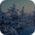 Snowy Trees Real Live Wallpaper