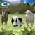Farm Animals Family