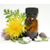 Chinese Herbs App