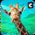 Giraffe Family Jungle Simulator