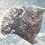 SNOWY CAT LWP