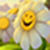 Images of Smiley wallpaper