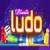LUDO GAME player 1 to 4