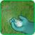 Bermuda Grass Lawn Tips