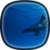 Dolphins LWP HD