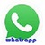 whatsapp on chat