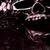 Skull Picture Wallpaper