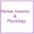 Humananatomy