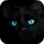 Blue Eyes Cat Live Wallpaper