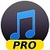 Simple Mp3 Music Downloader Pro