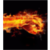 Temperature