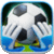 Euro Goalkeeper
