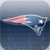 New England Patriots 2010