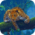 Leopard Attack Live Wallpaper