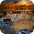 Shining Sunset Live Wallpaper