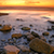Rocky Shores Live