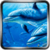 Adventure Dolphin FREE