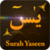 Surah Yaseen Audio Translation