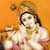 Krishna Zone