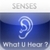 Senses - What U Hear?