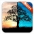 Day Night Live Wallpaper All private