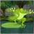 Jumping Frog