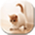 Cat Wallpaper Images