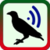 New Bird Sound Ringtones