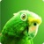 Green Parrot Live Wallpaper