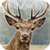 Deer Hunter: 3D Sniper Shooter