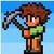Terraria only