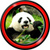 Free Panda Live Wallpapers