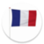 FRENCH to ENGLISH Mega Translator