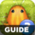Pocket  Frogs  Guide