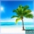 Palm Tree Video Live Wallpaper