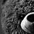 Teddy Bear Live Wallpaper 2