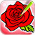 Popular Roses Coloring Book
