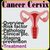 Cancer Cervix Fact
