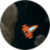 Asteroilds