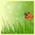 Pure Nature Live Wallpaper