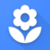Flower HD wallpaper