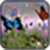 Butterfly Wallpaper Images