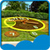 Free Flower Clock Live Wallpapers