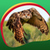 Cool Owl Live Wallpapers