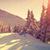 Sunset Winter Shadows Live Wallpaper