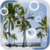 Beach Palms Live Wallpaper